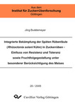 Integrierte Bekämpfung der Späten Rübenfäule (Rhizoctonia solani Kühn) in Zuckerrüben