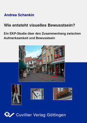 Wie entsteht visuelles Bewusstsein?