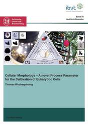 Cellular Morphology 