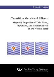 Transition Metals and Silicon