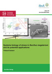 Systems biology of stress in Bacillus megaterium and its potential applications