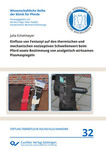 Einfluss von Fentanyl auf den thermischen und mechanischen nozizeptiven Schwellenwert beim Pferd sowie Bestimmung von analgetisch wirksamen Plasmaspiegeln