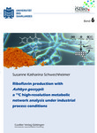 Riboflavin production with Ashbya gossypii