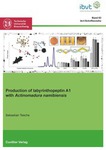Production of labyrinthopeptin A1 with Actinomadura namibiensis