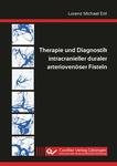 Therapie und Diagnostik intracranieller duraler arteriovenöser Fisteln