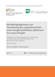 Handlungsoptionen zur Gestaltung des regulatorischen und energierechtlichen Rahmens im enera-Projekt