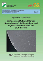 Einfluss von Multiwall Carbon Nanotubes auf die Herstellung und Eigenschaften keramischer SiCN-Fasern